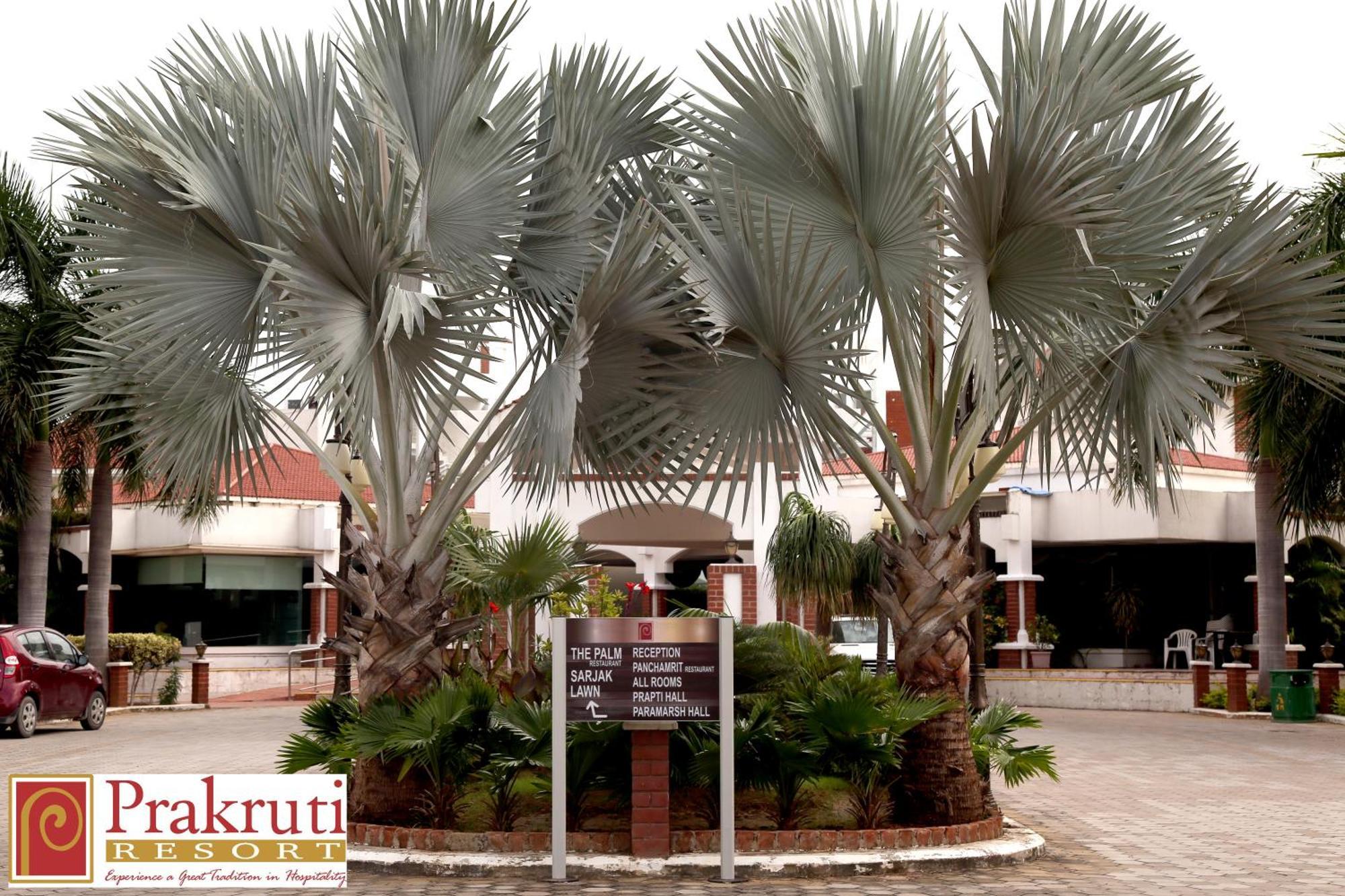 Prakruti Resort Βαντοντάρα Εξωτερικό φωτογραφία